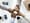 marketing immobilier innovant