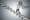 business immobilier
